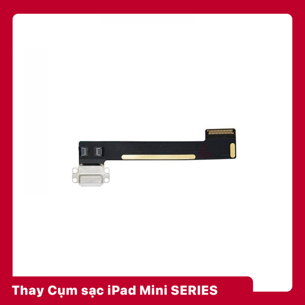 Thay Cụm Sạc | Mic iPad Mini